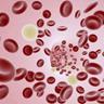 پیشرفت هایی در پیوند خون بندناف : نگاهی به دوازدهمین سمپوزیوم بین المللی خون بندناف در سانفرانسیسکو 5 تا 7 ژوئن 2014