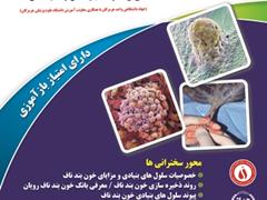 برگزاری سمینار سلول های بنیادی خون بندناف در استان هرمزگان