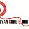 Running an office, the first cross-border Royan Cord Blood Bank was held in Erbil, Iraq