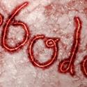  Ebola & Cord Blood Safety
