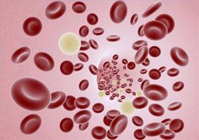 پیشرفت هایی در پیوند خون بندناف : نگاهی به دوازدهمین سمپوزیوم بین المللی خون بندناف در سانفرانسیسکو 5 تا 7 ژوئن 2014