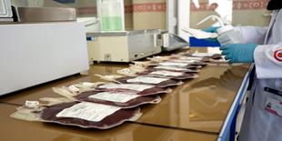 ذخایر بانک خون بندناف رویان به بیش از 67 هزار نمونه رسید