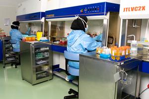 دکتر ضرابی: صادرات دانش‌فنی ذخیره‌سازی سلول‌های بنیادی به خارج از کشور
