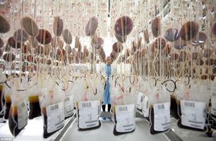 ذخیره بیش از 150 نمونه در بانک خون بندناف استان ایلام
