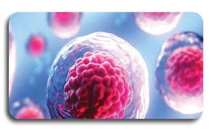 آیا سلول‌های NK مشتق از خون بند ناف برای درمان سرطان و عفونت ویروس کرونا مؤثر است؟
