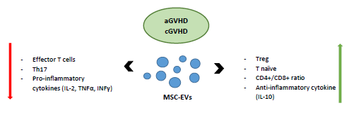 تصویر استفاده از MSC-EVs در پیشگیری و درمان  GVHD