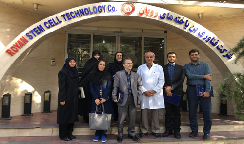 بازدید معاون صنایع پیشرفته ساز...