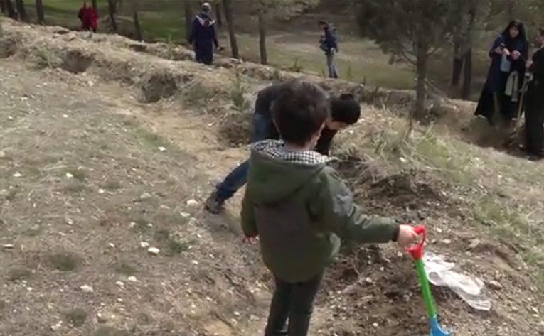 درختکاری خانوادگی همراه با یک ...