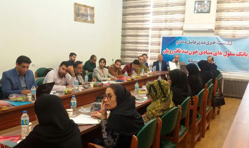 مدیر عامل سلول های بنیادی خون ...