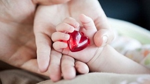 ۱۳ آذرماه، روز بیمه
