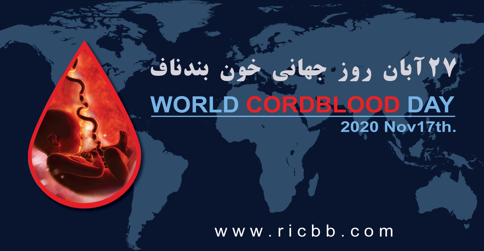 برنامه های خبری مدیرعامل بانک ...