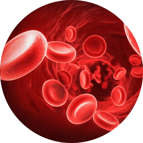 سلول های بنیادی خون بندناف